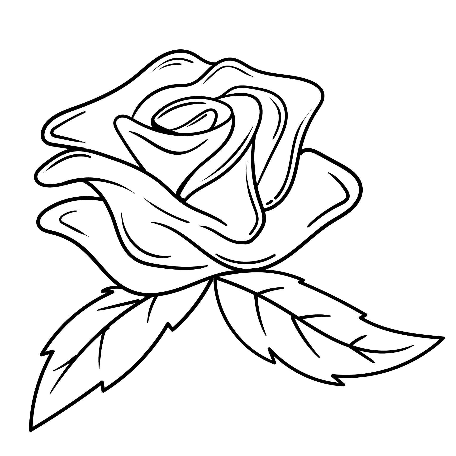 Roses Flower Coloring